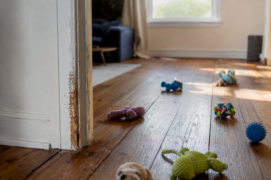 Pet damage on floor and door edges